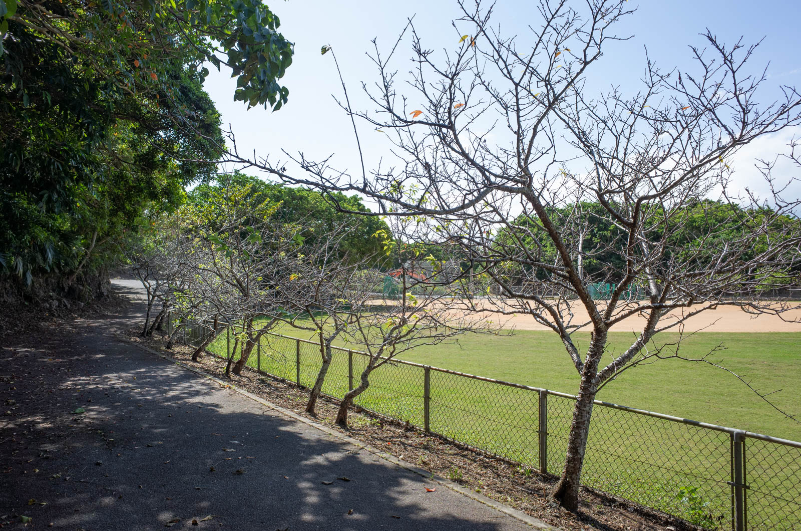 f:id:SQB:20201008133222j:plain