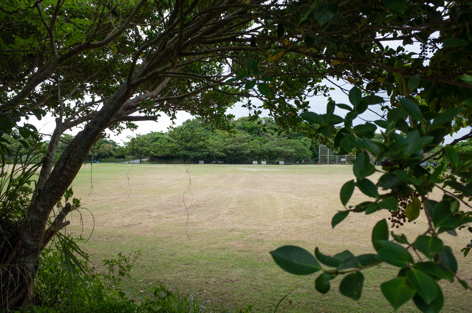 f:id:SQB:20201012210354j:plain