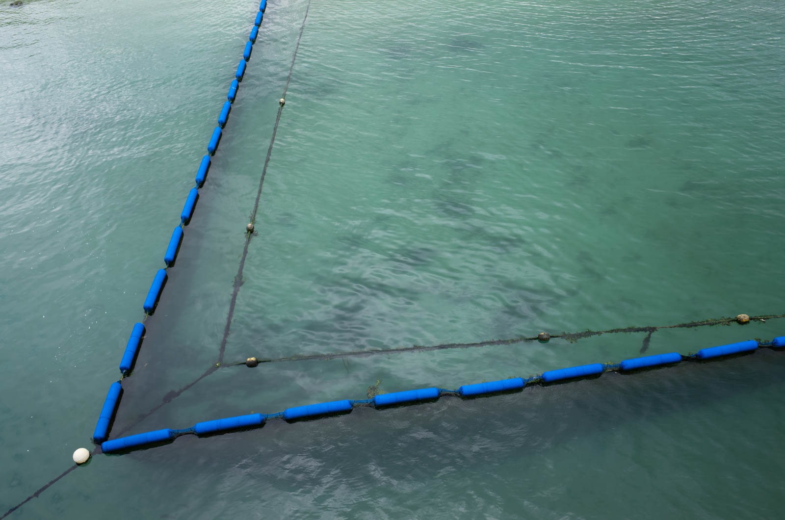 f:id:SQB:20201014130058j:plain