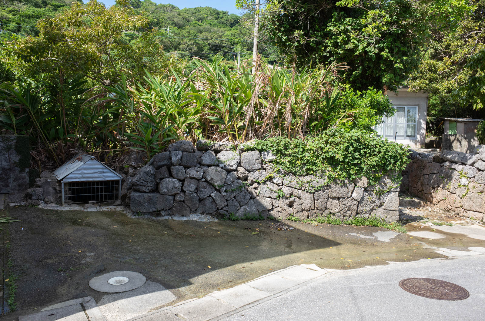 f:id:SQB:20201102173528j:plain