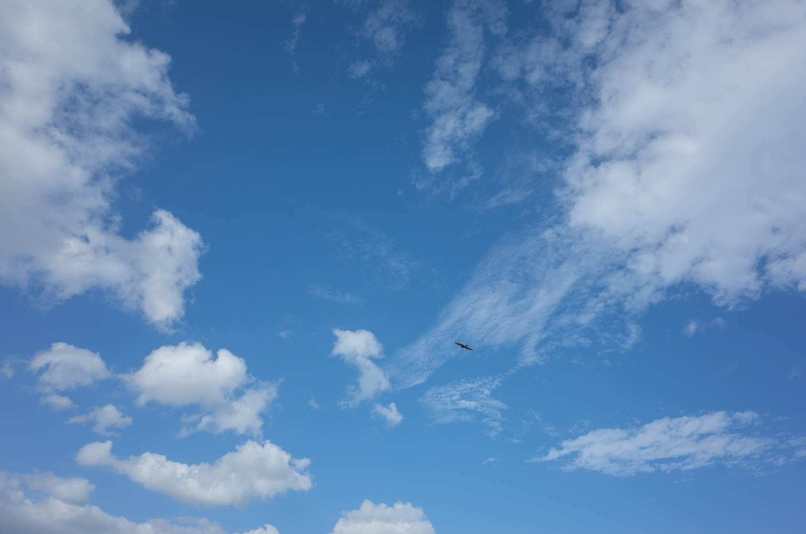 f:id:SQB:20201104114325j:plain