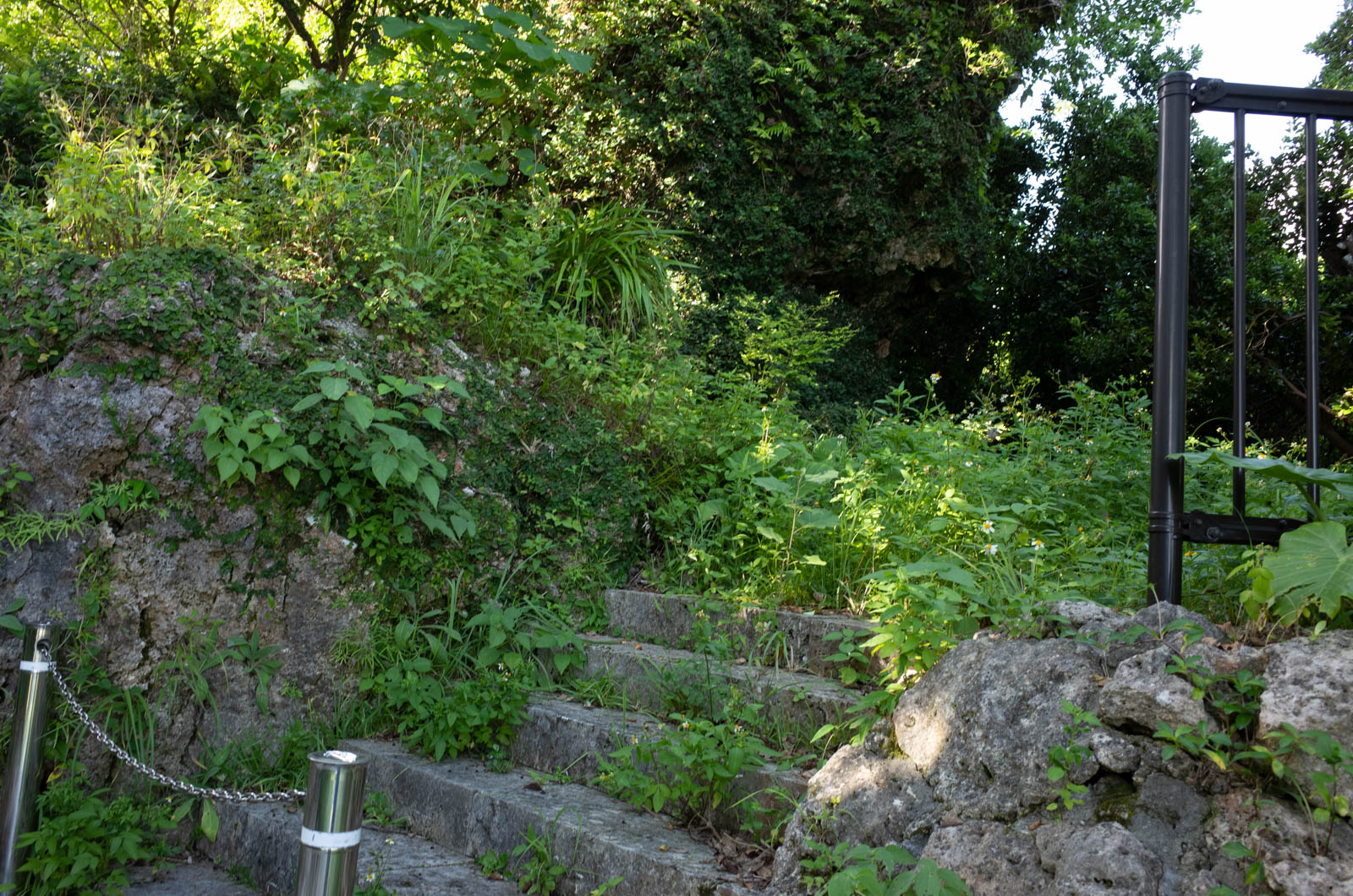 f:id:SQB:20201104114339j:plain f:id:SQB:20201104114339j:plain