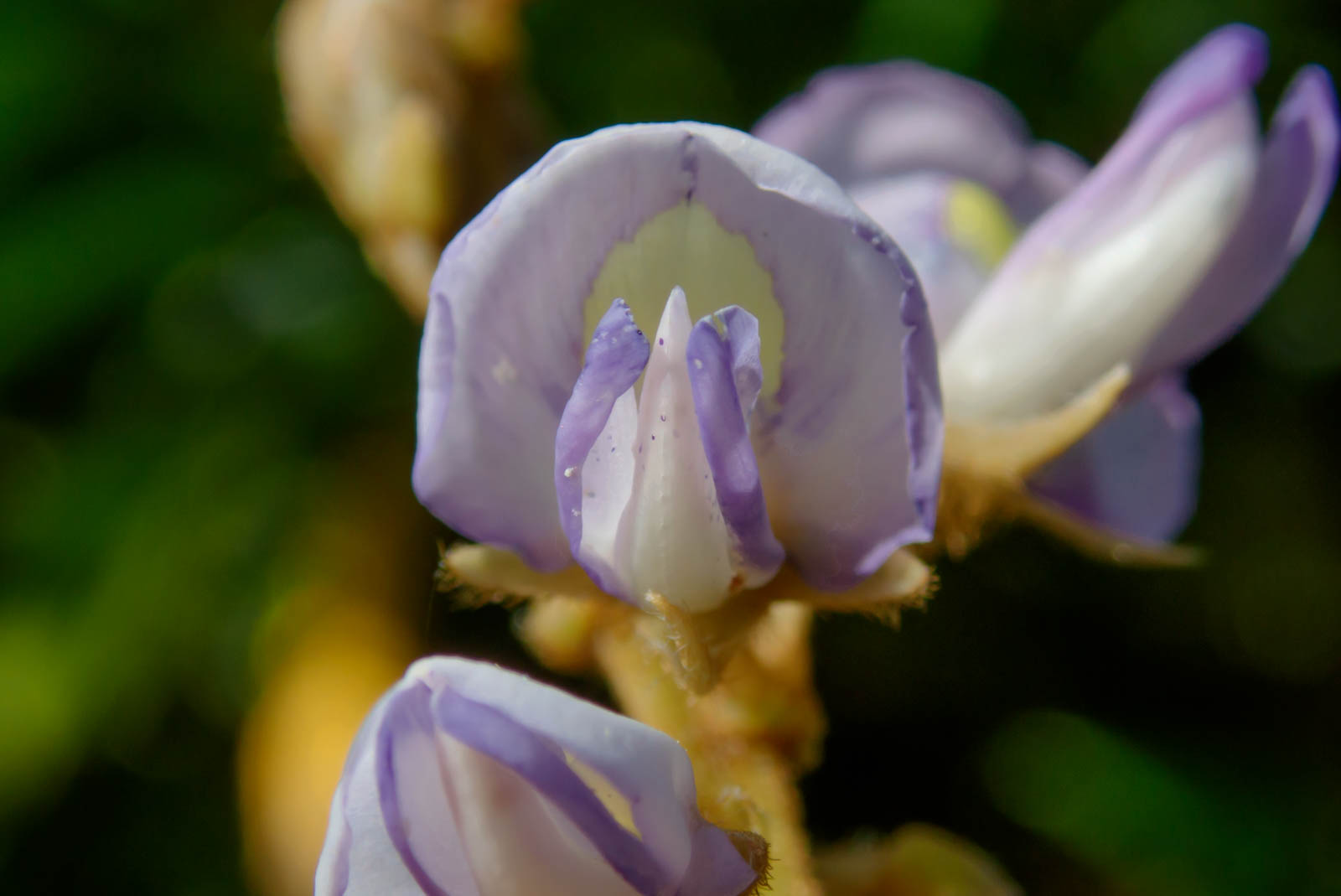 f:id:SQB:20201105183331j:plain