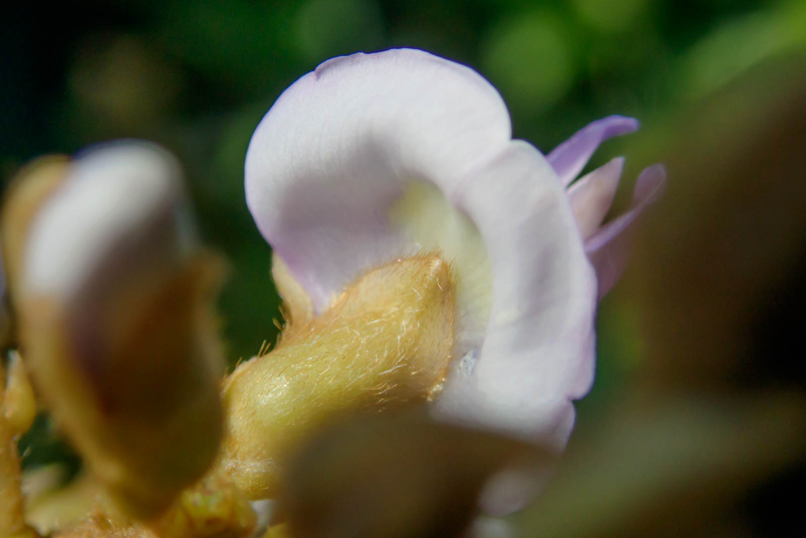 f:id:SQB:20201105183345j:plain