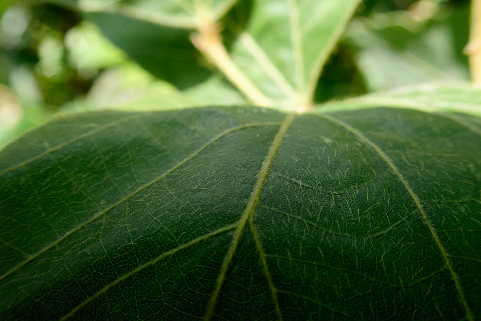 f:id:SQB:20201105183352j:plain
