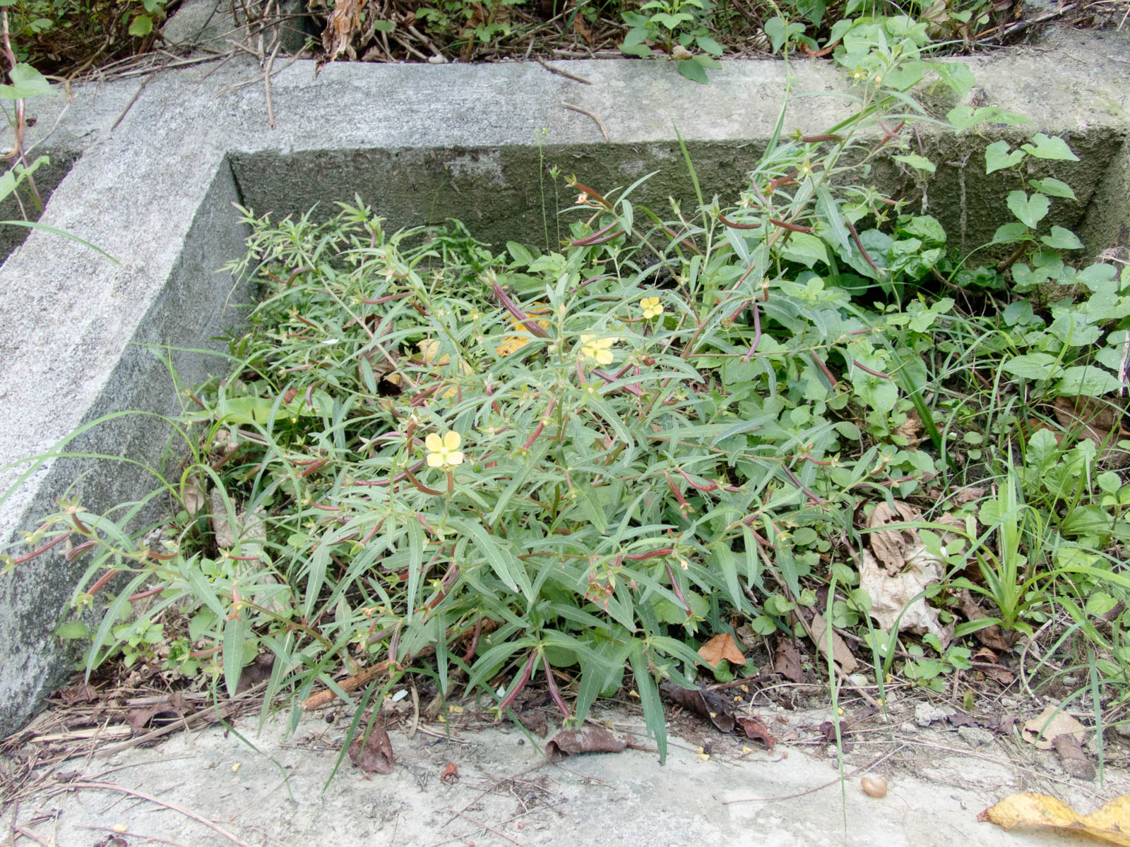 f:id:SQB:20201109160927j:plain