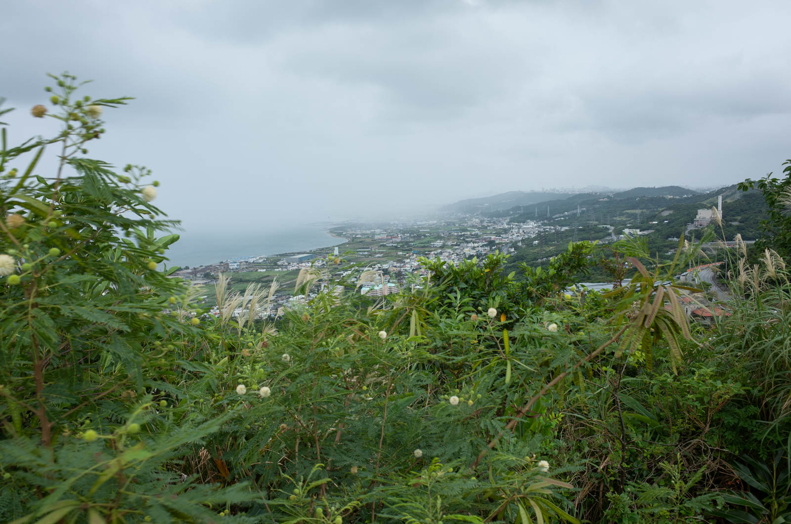 f:id:SQB:20201109222944j:plain