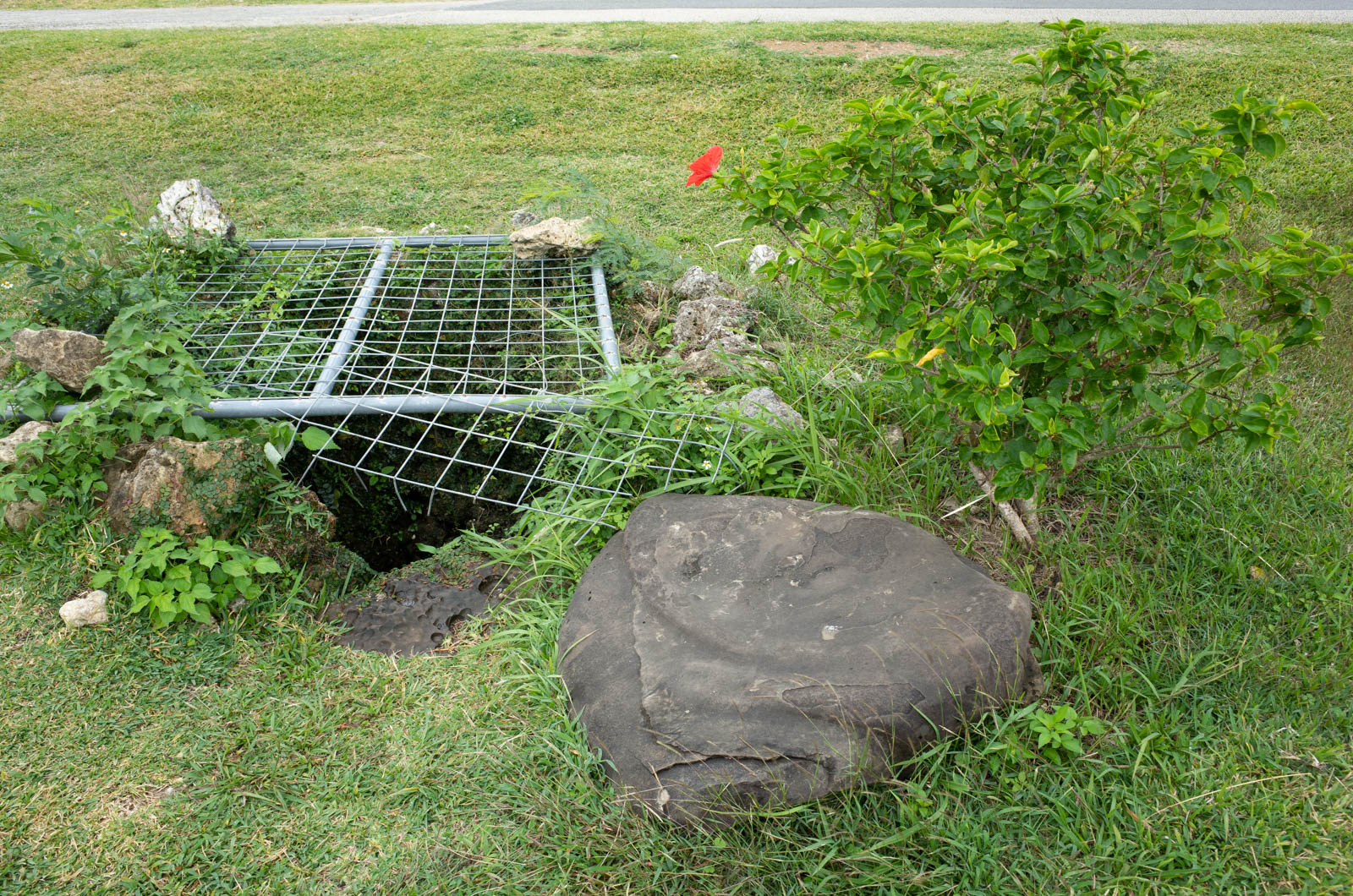 f:id:SQB:20201115192317j:plain
