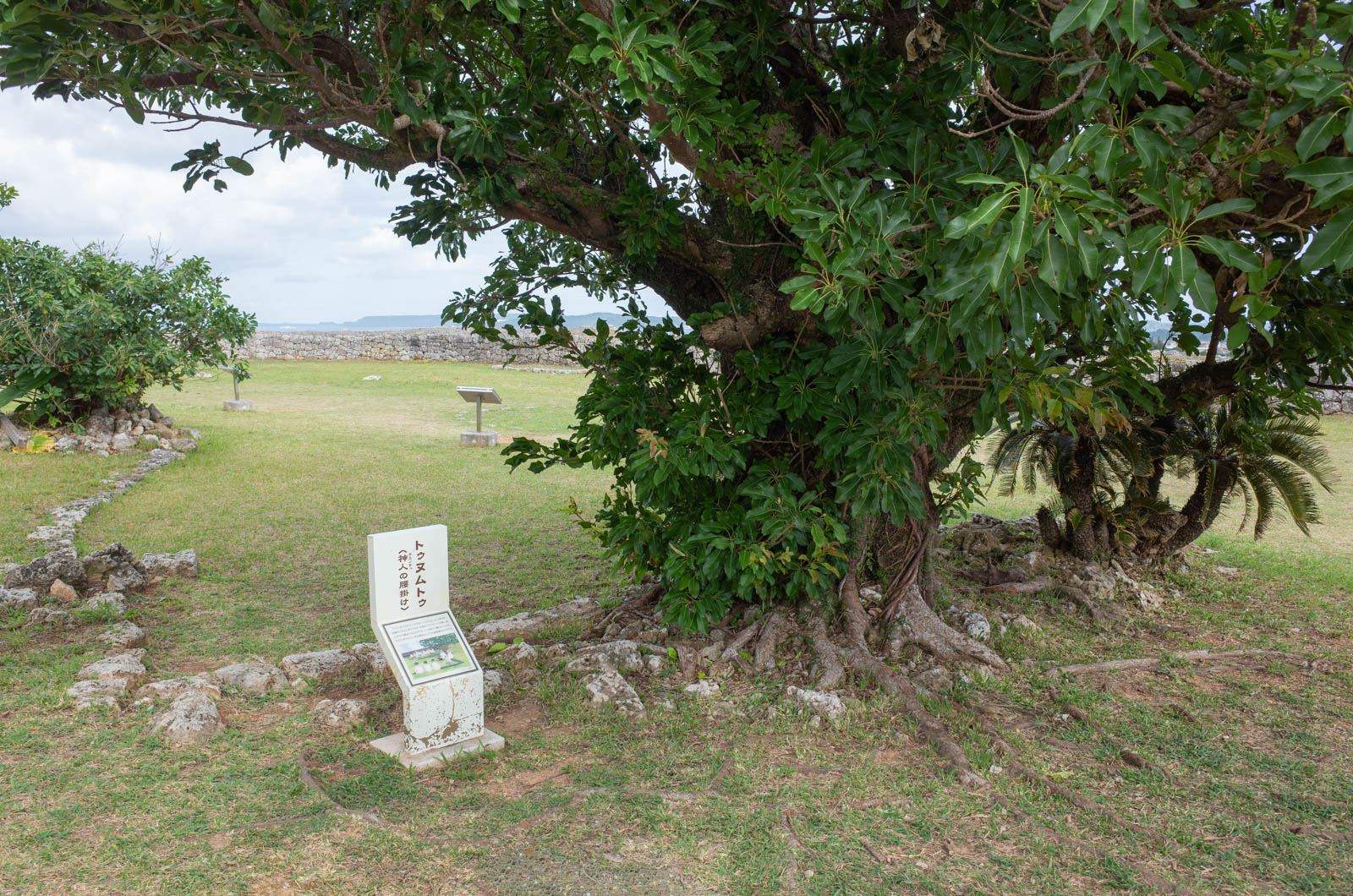 f:id:SQB:20201116202203j:plain