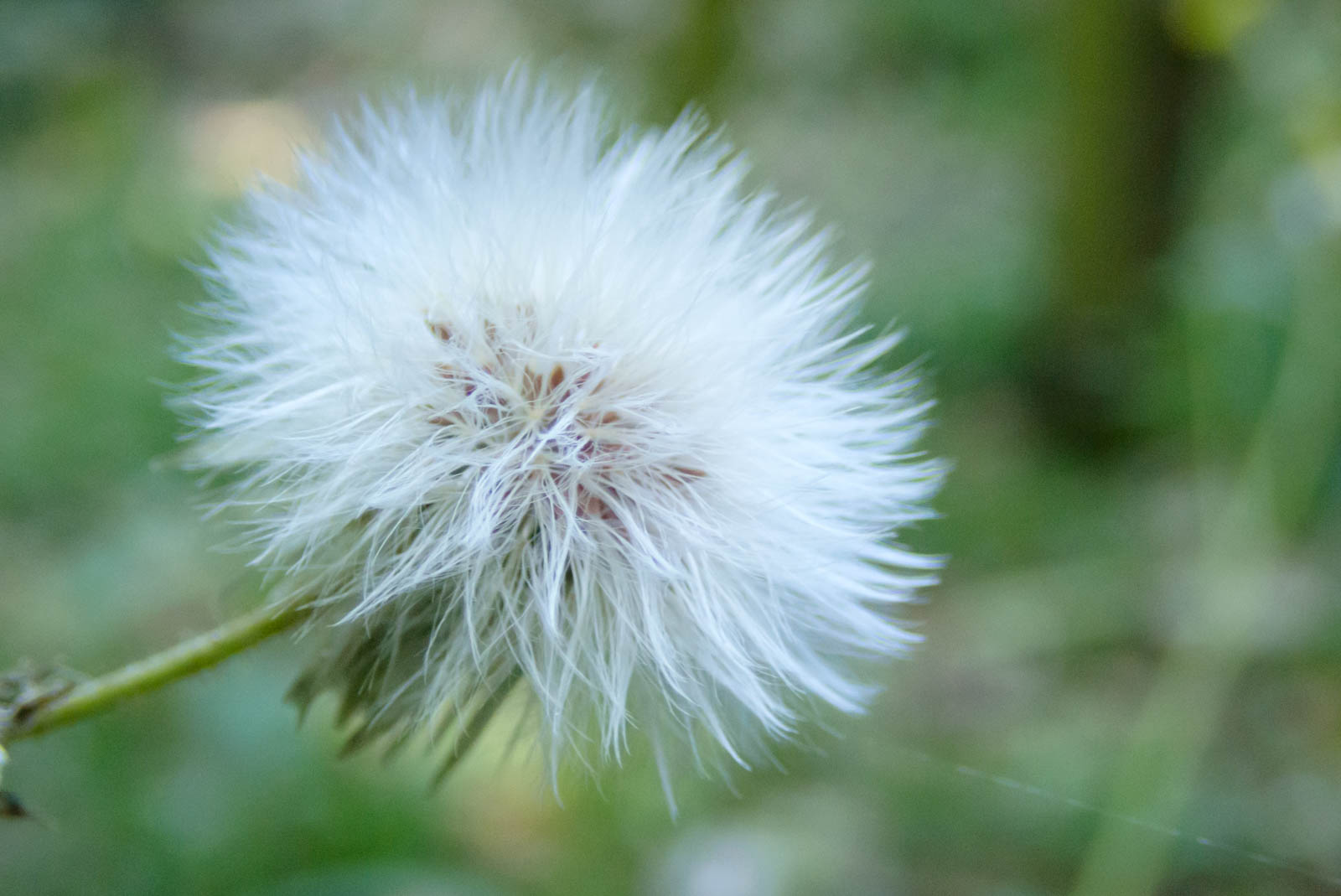 f:id:SQB:20201119172413j:plain