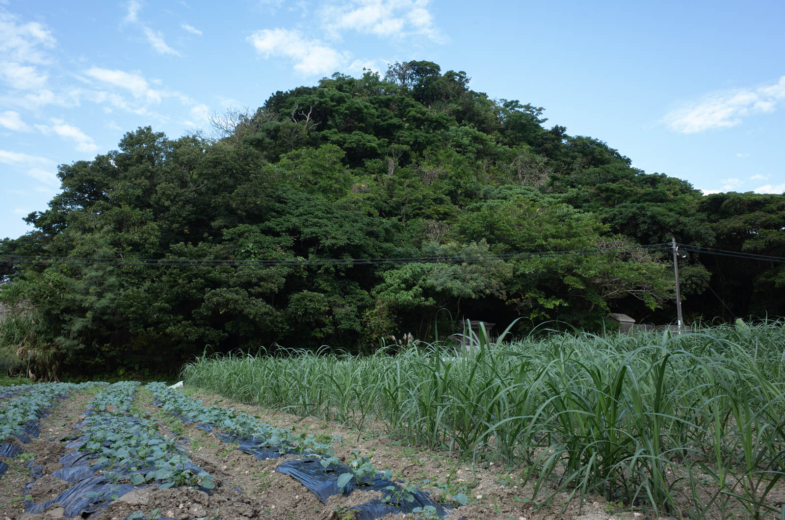f:id:SQB:20201204202001j:plain