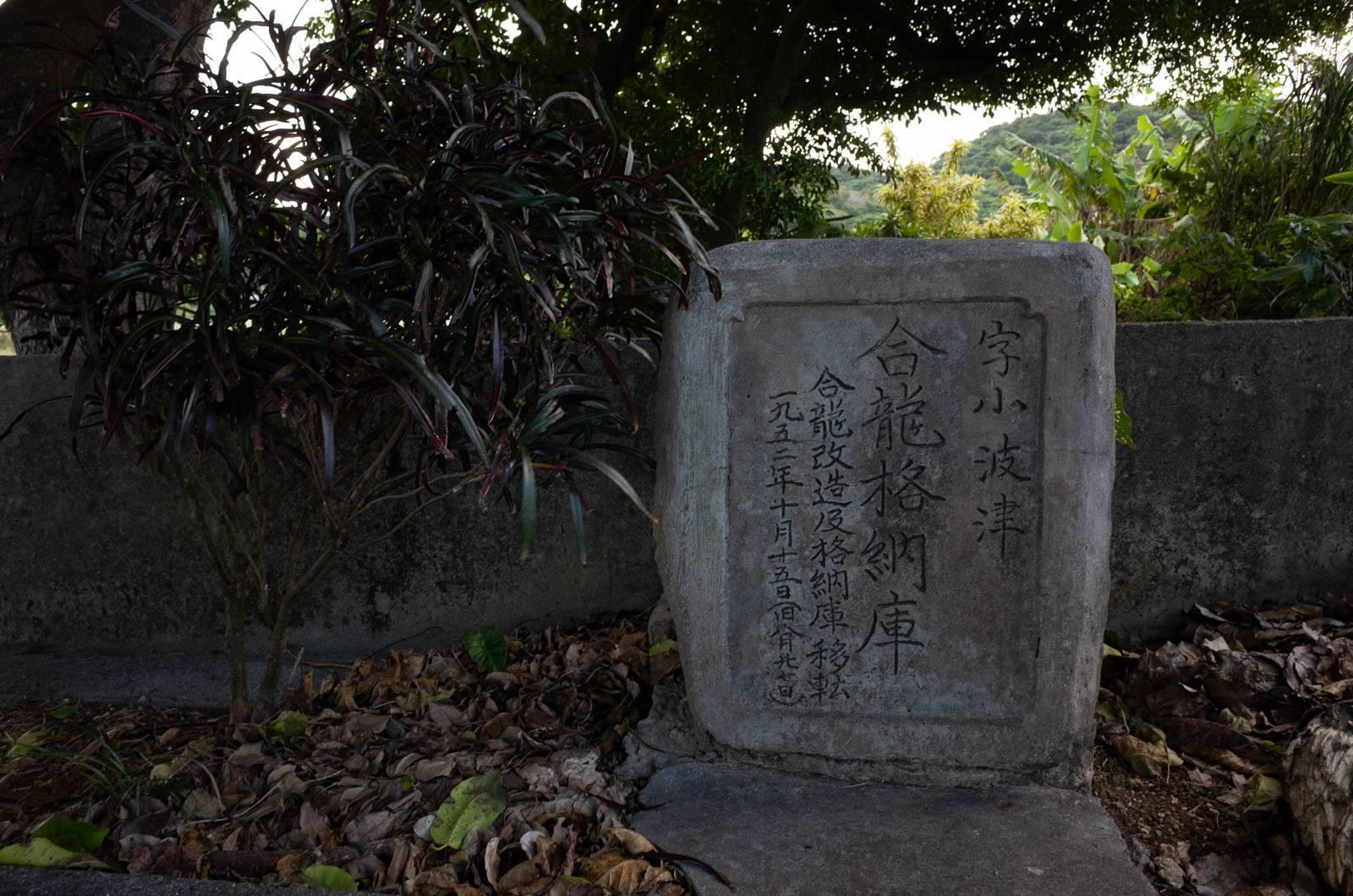f:id:SQB:20201204202955j:plain