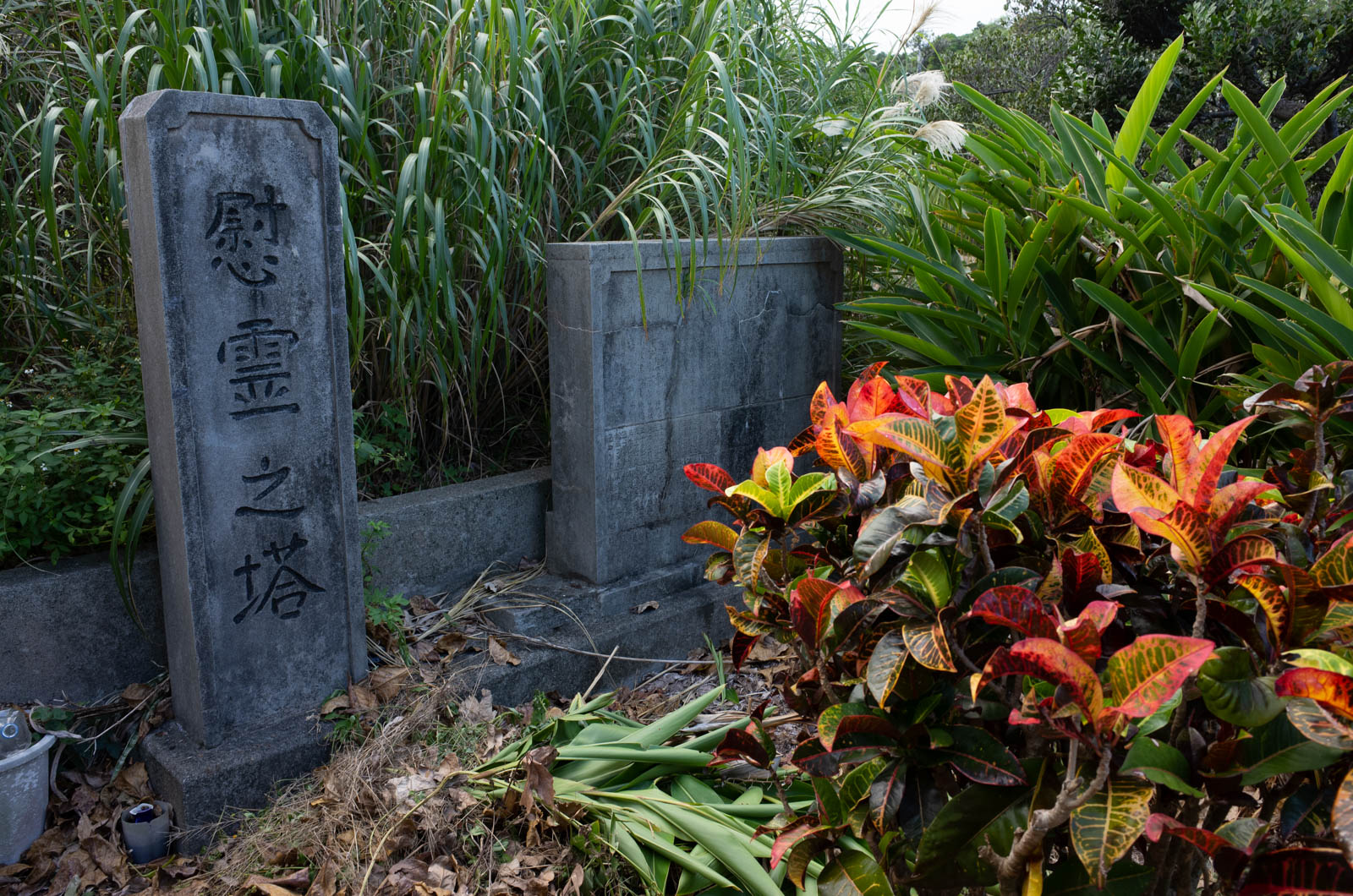 f:id:SQB:20201204203046j:plain