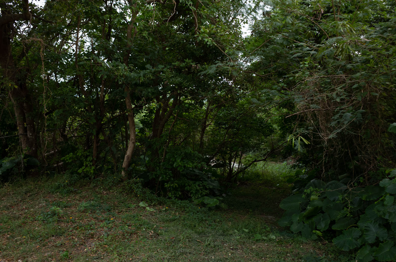 f:id:SQB:20201206210731j:plain