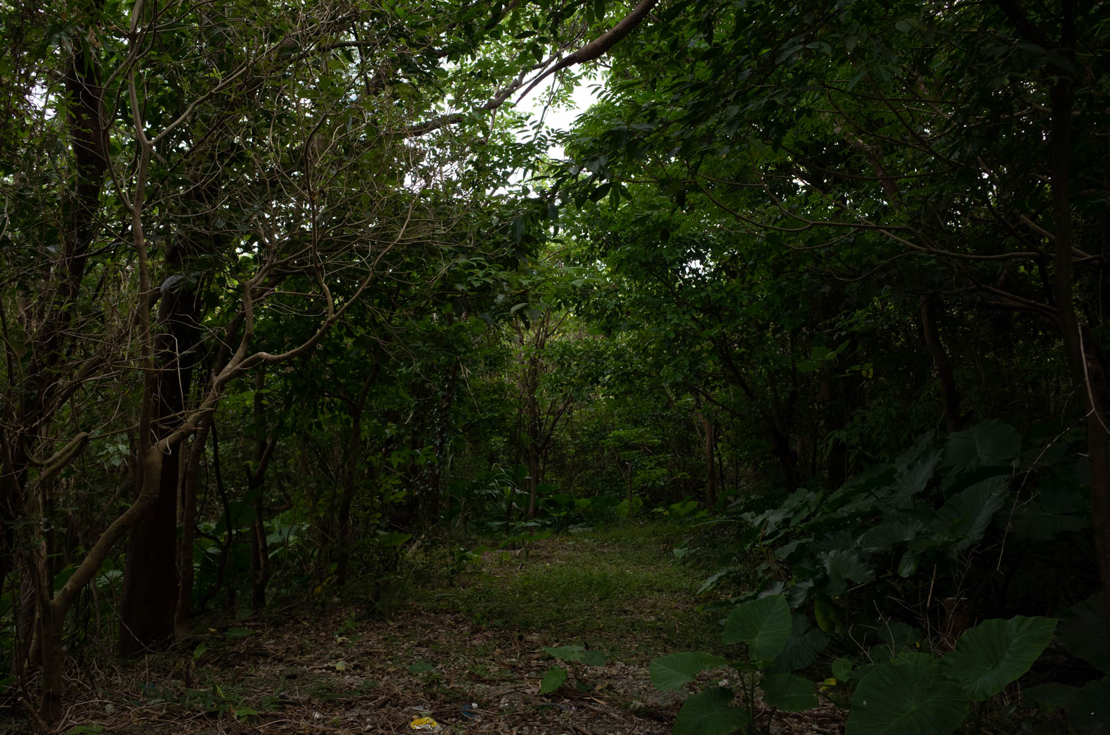 f:id:SQB:20201206211302j:plain