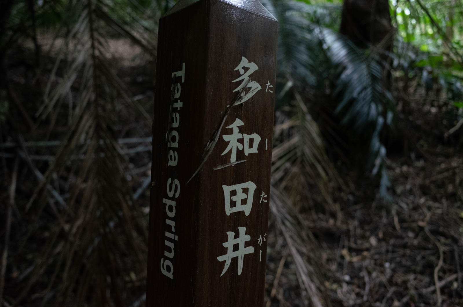 f:id:SQB:20201206211532j:plain