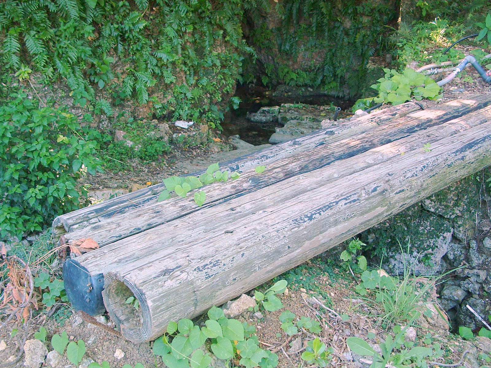 f:id:SQB:20201207145028j:plain
