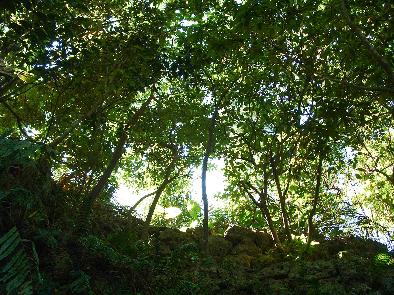 f:id:SQB:20201207145042j:plain