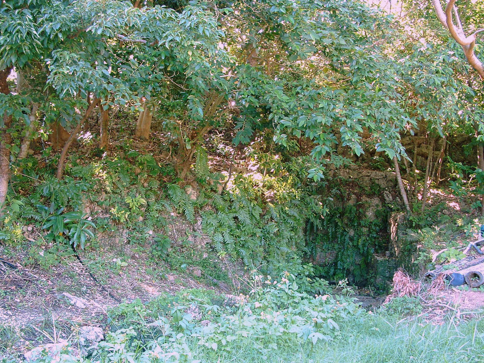 f:id:SQB:20201207145055j:plain