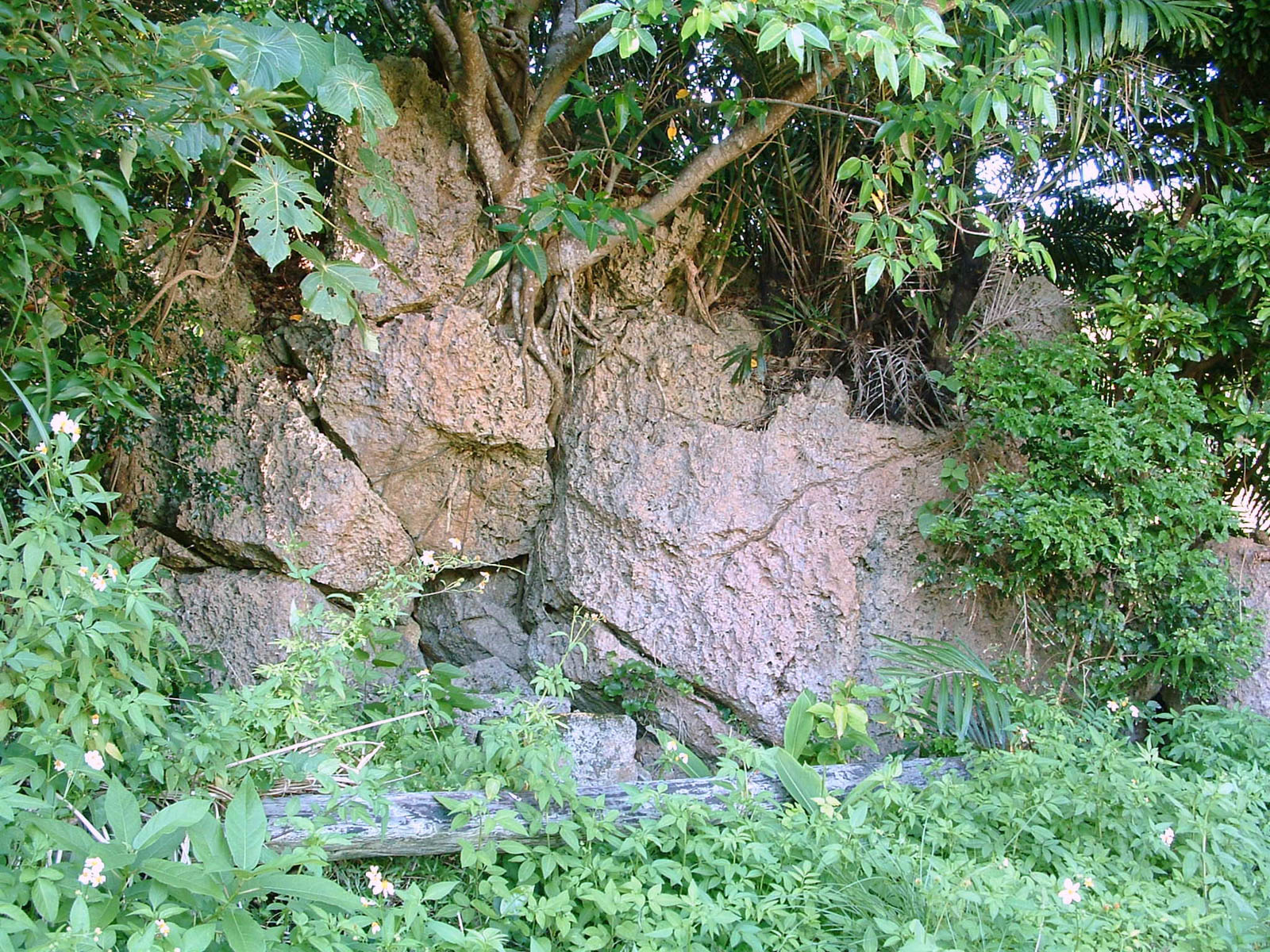 f:id:SQB:20201207145630j:plain
