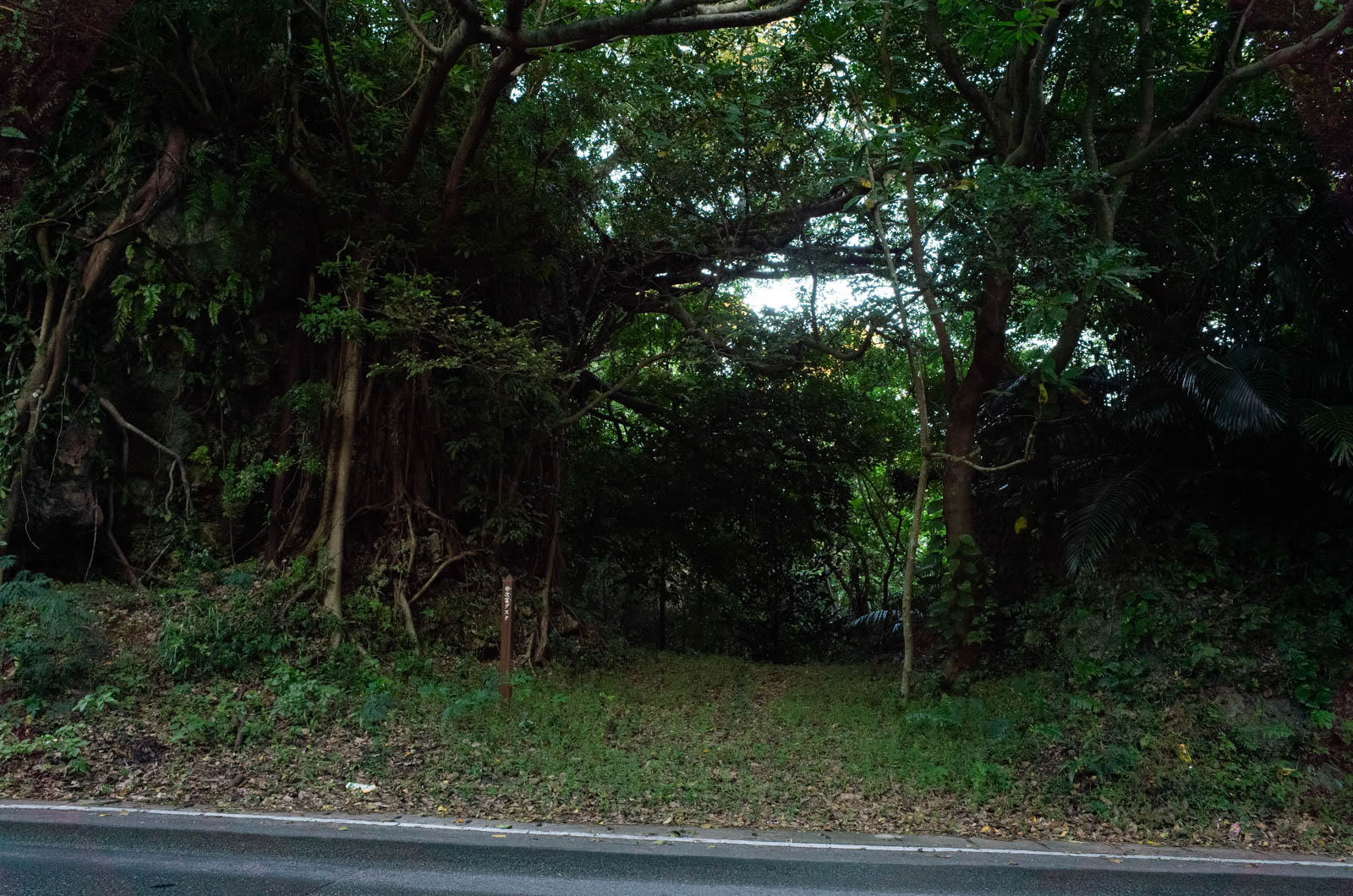 f:id:SQB:20201217165651j:plain