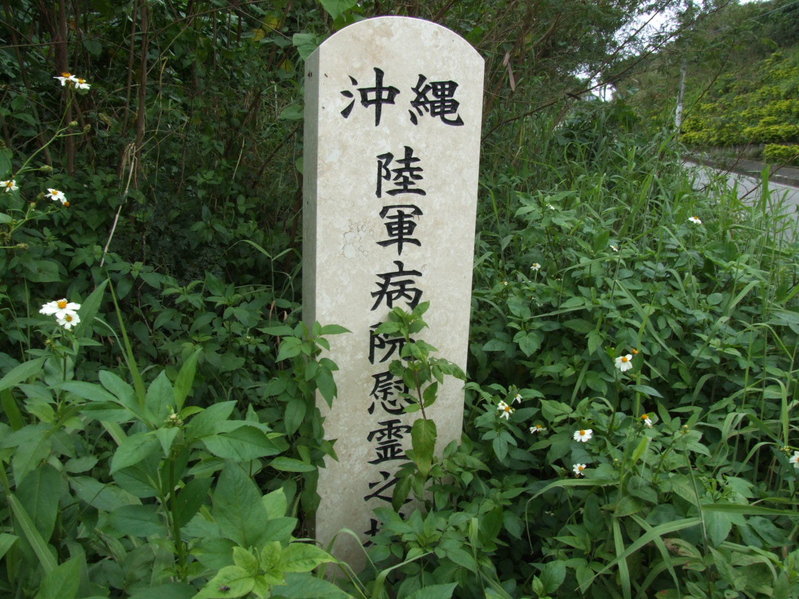 f:id:SQB:20201224160628j:plain
