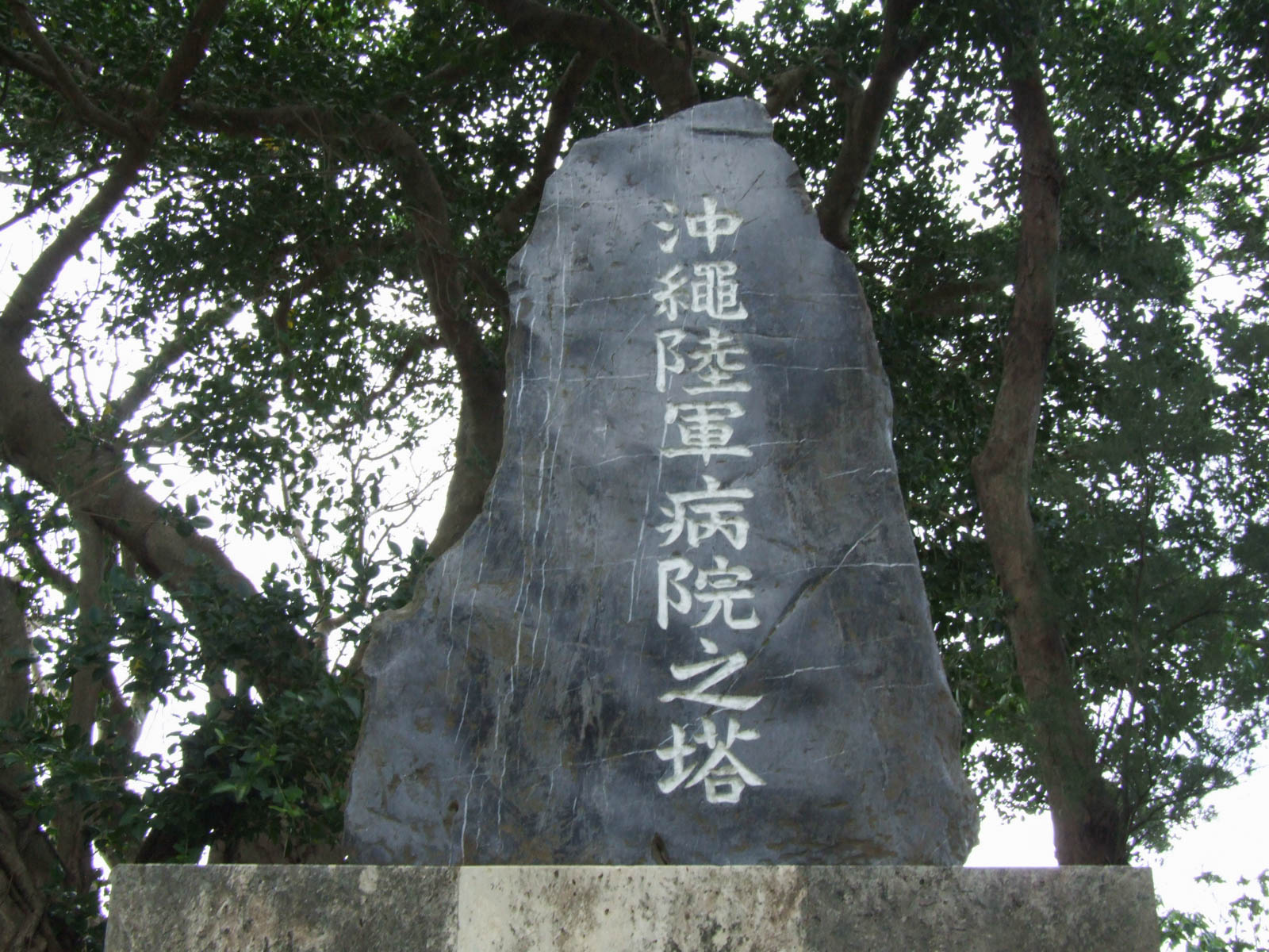 f:id:SQB:20201224161202j:plain