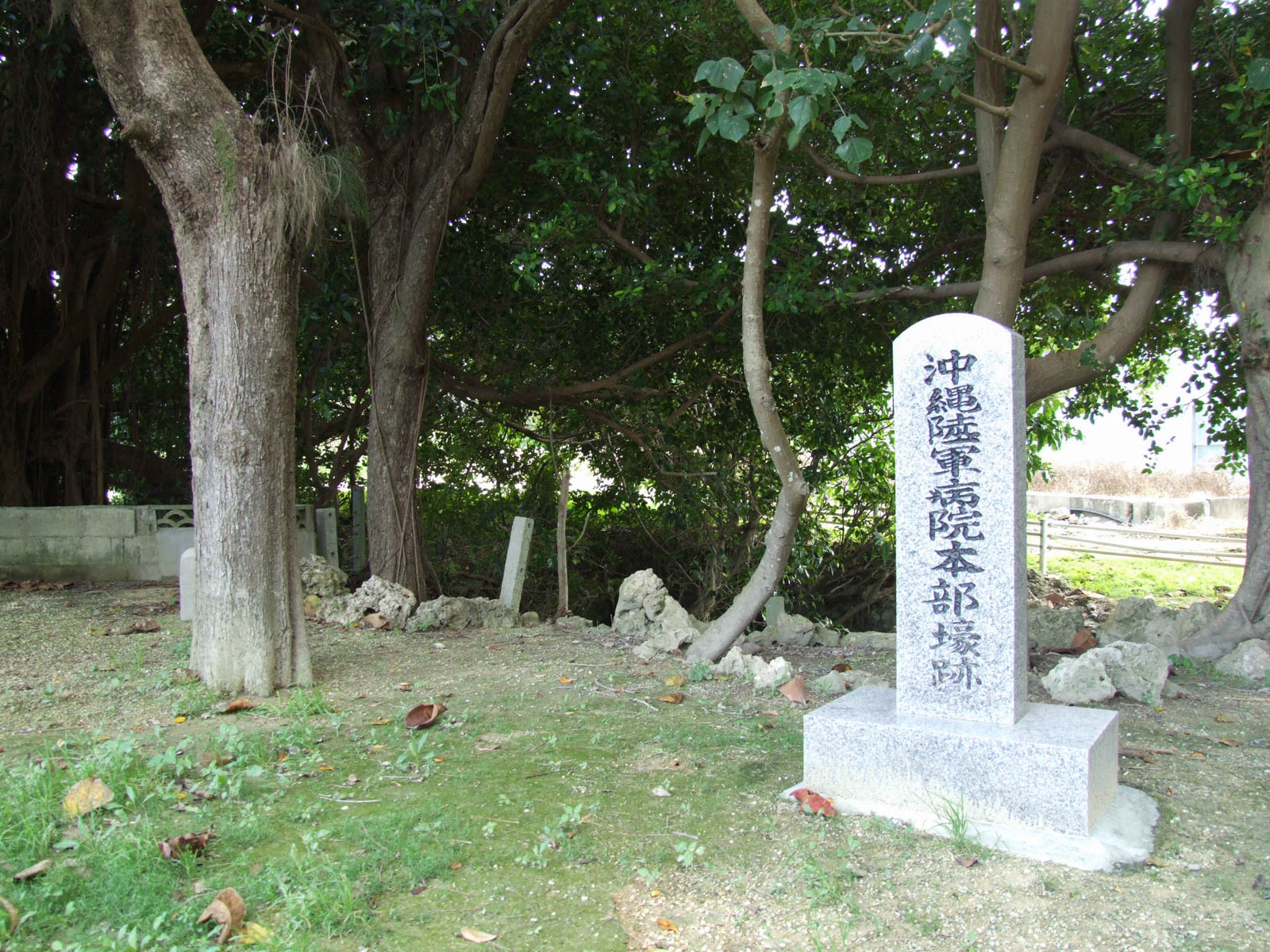 f:id:SQB:20201224161227j:plain