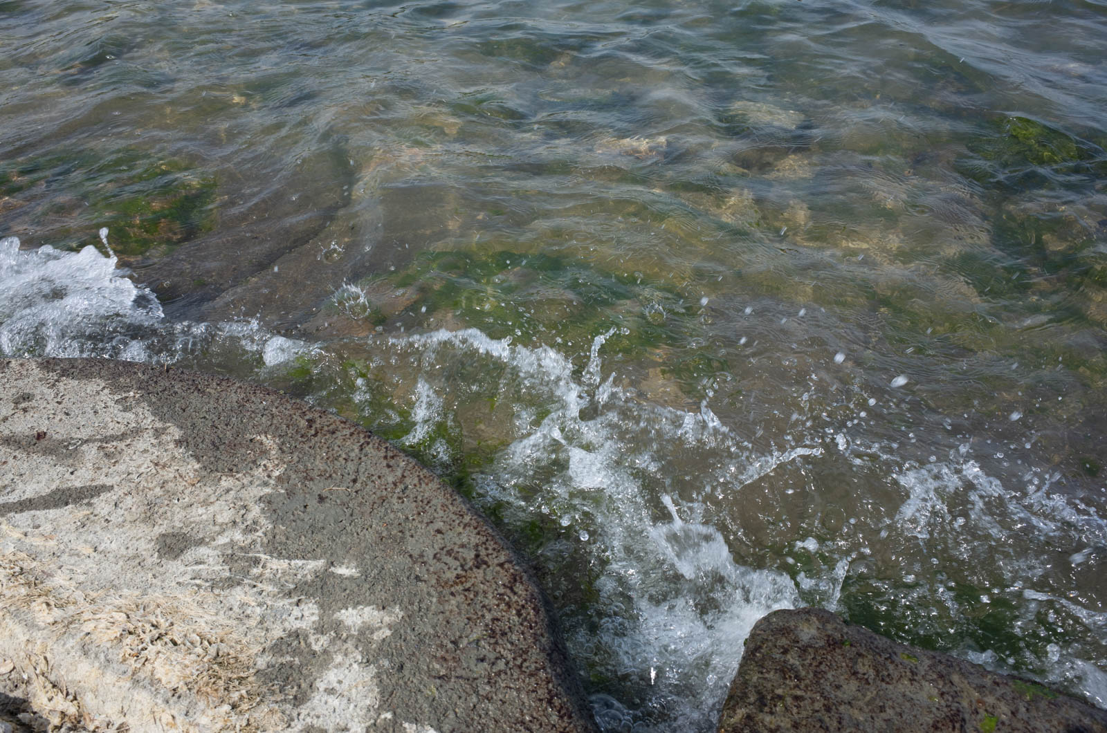 f:id:SQB:20210226220240j:plain