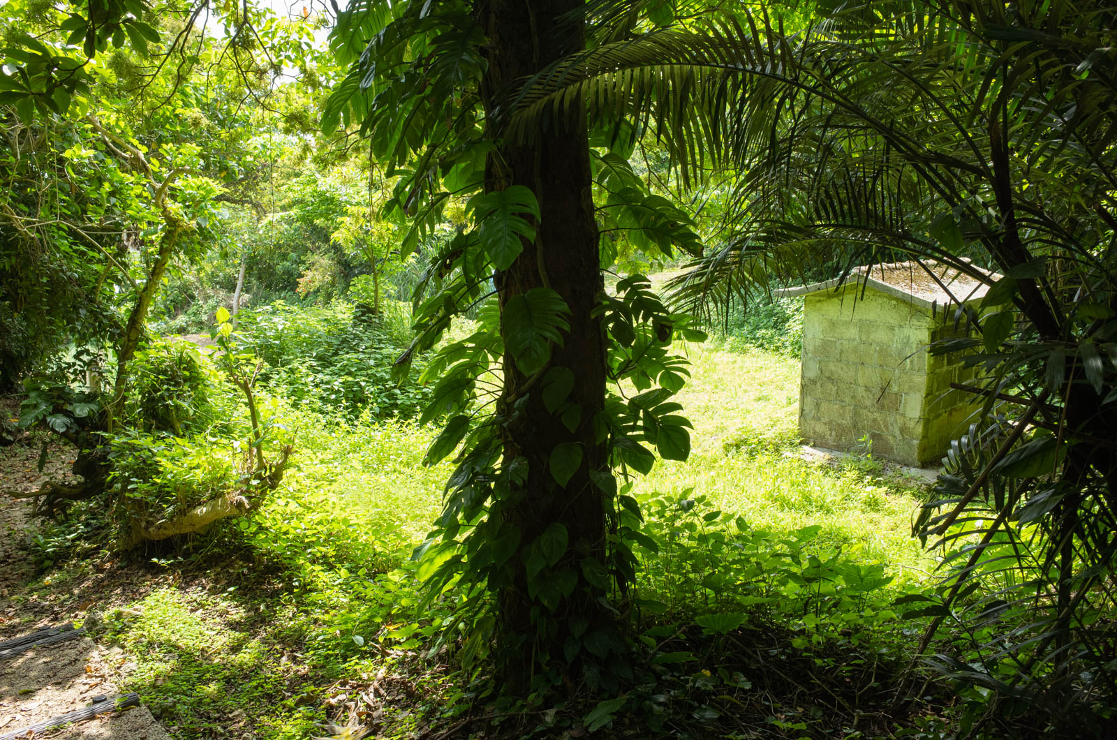 f:id:SQB:20210320161323j:plain