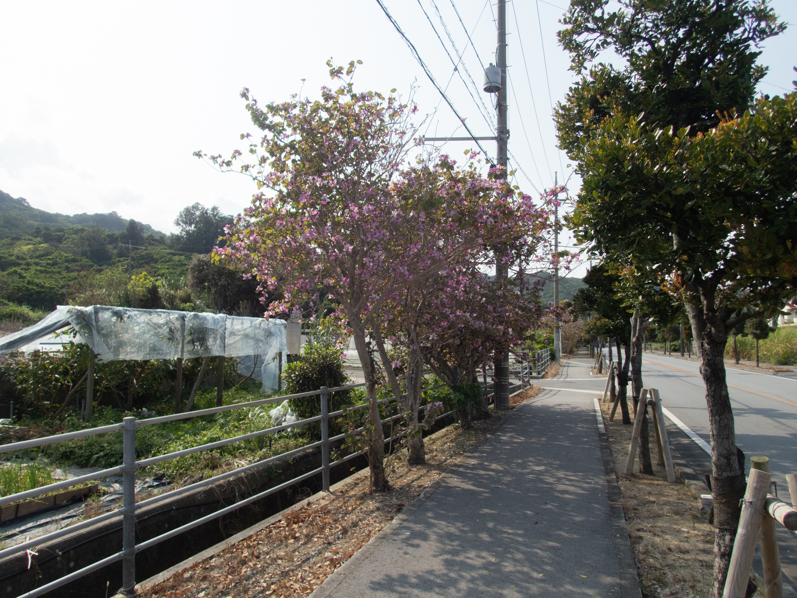 f:id:SQB:20210331120305j:image