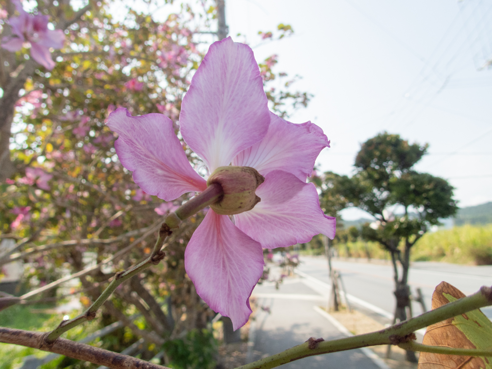f:id:SQB:20210331120326j:image