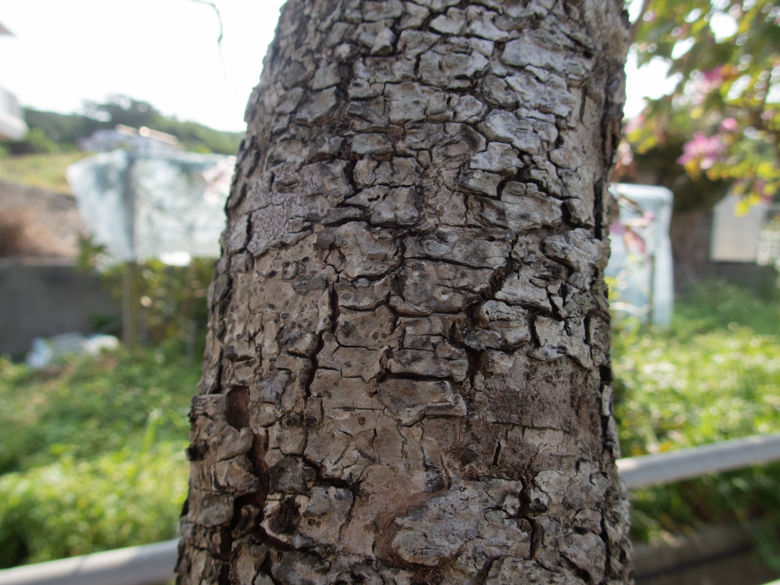 f:id:SQB:20210331120331j:image