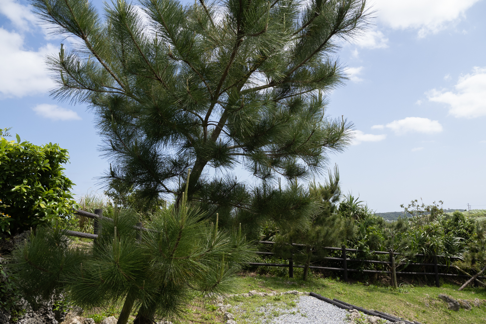 f:id:SQB:20210409190925j:image
