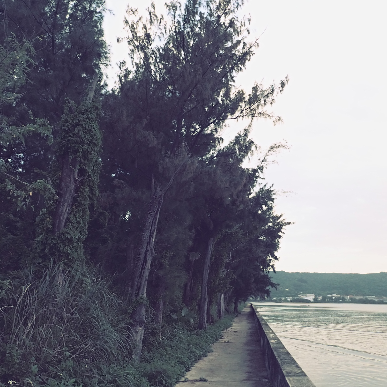 f:id:SQB:20210419102932j:plain