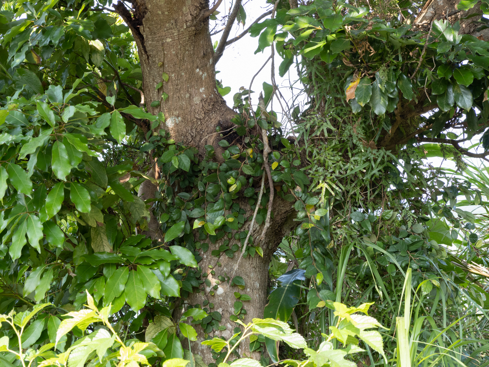 f:id:SQB:20210423170345j:image