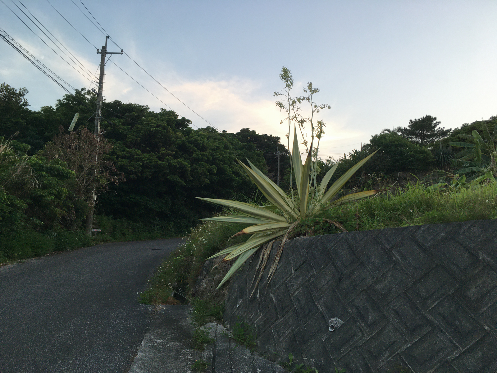 f:id:SQB:20210429114603j:image