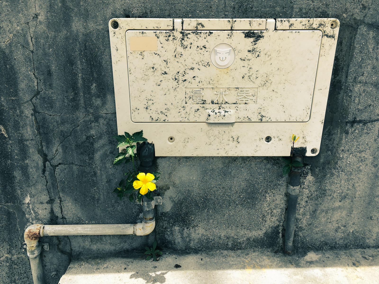 f:id:SQB:20210609220428j:plain
