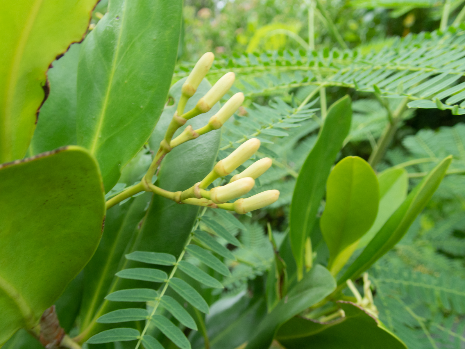 f:id:SQB:20210621131740j:image