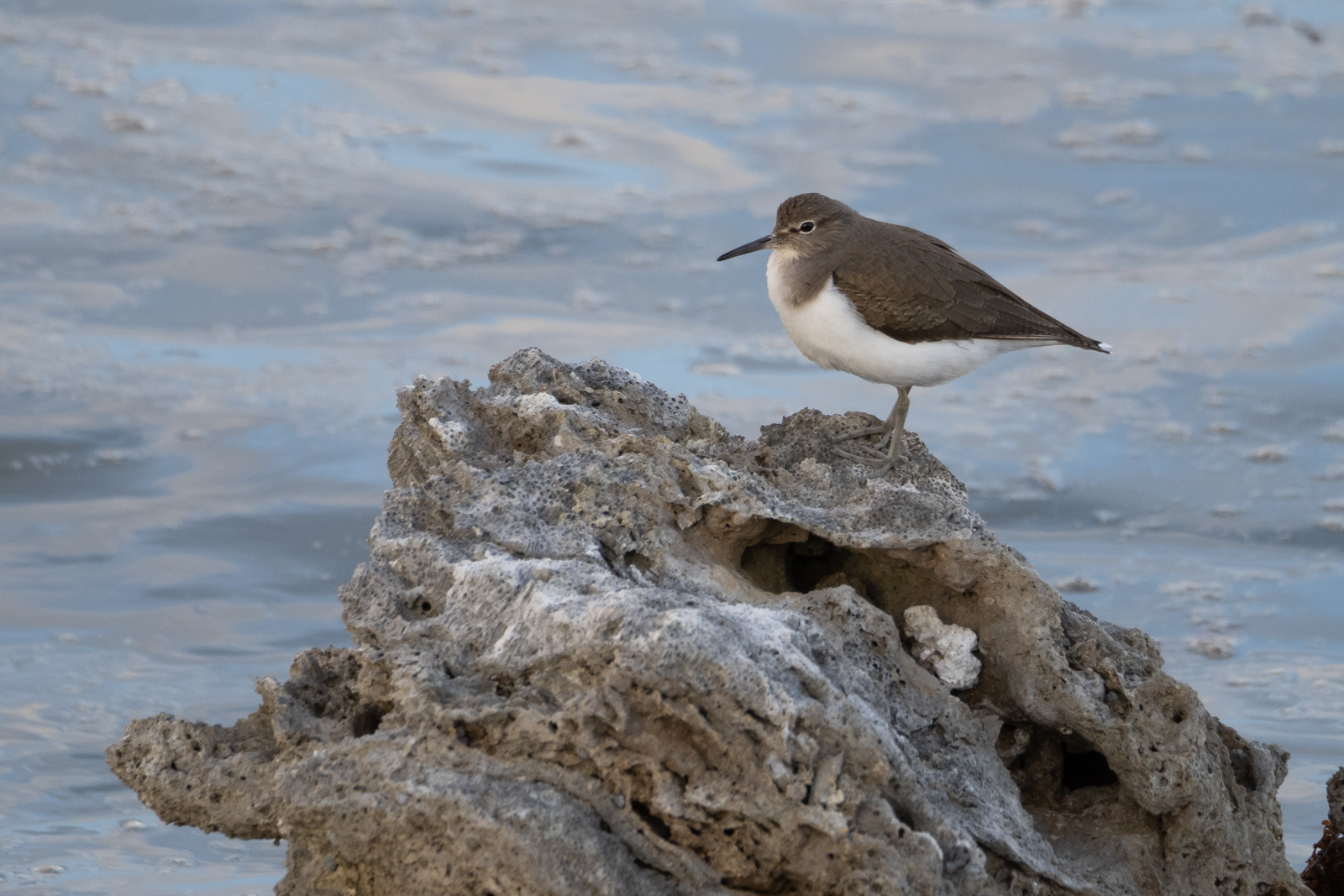 f:id:SQB:20211213141331j:plain