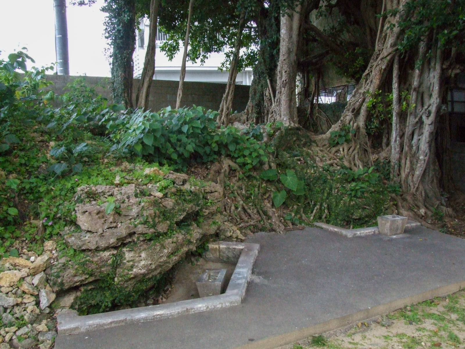f:id:SQB:20220107160856j:plain