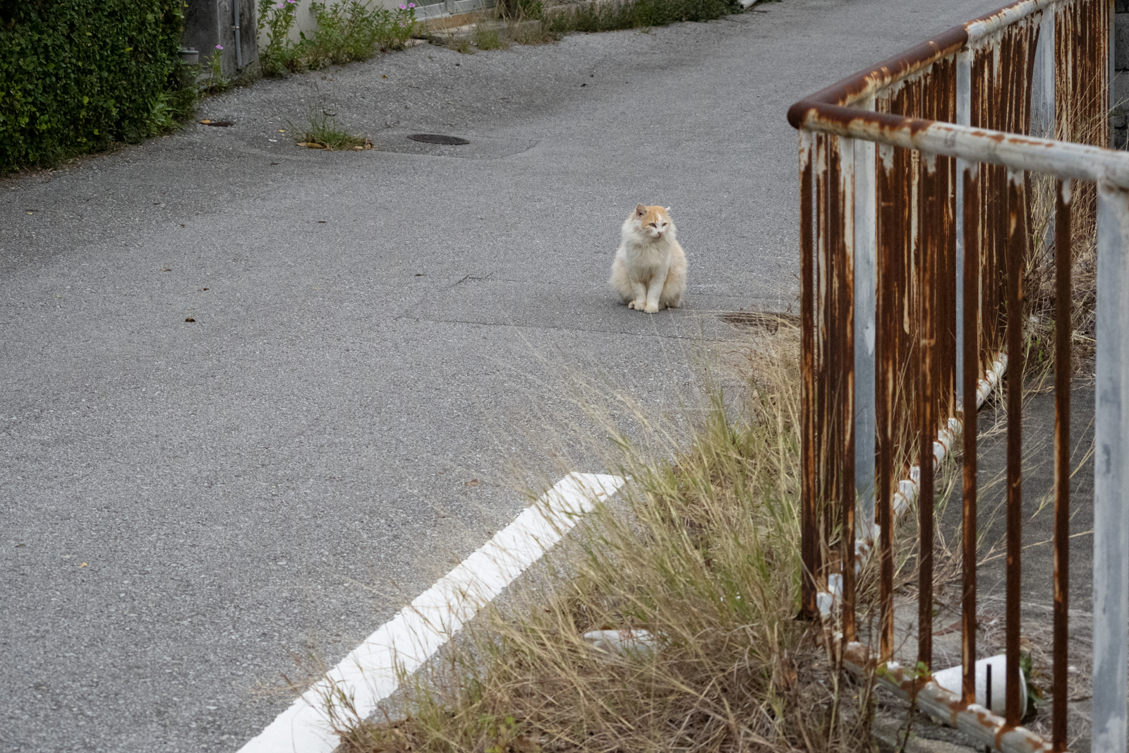 f:id:SQB:20220114164953j:plain
