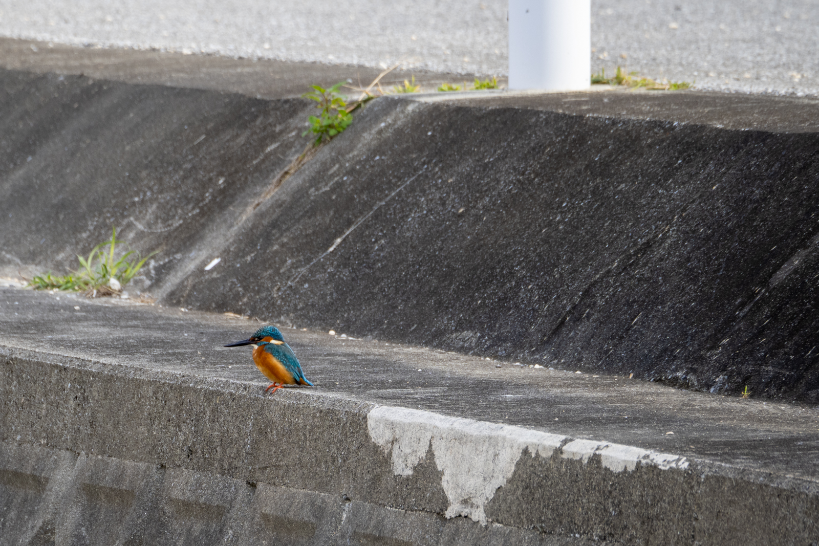 f:id:SQB:20220115210631j:plain