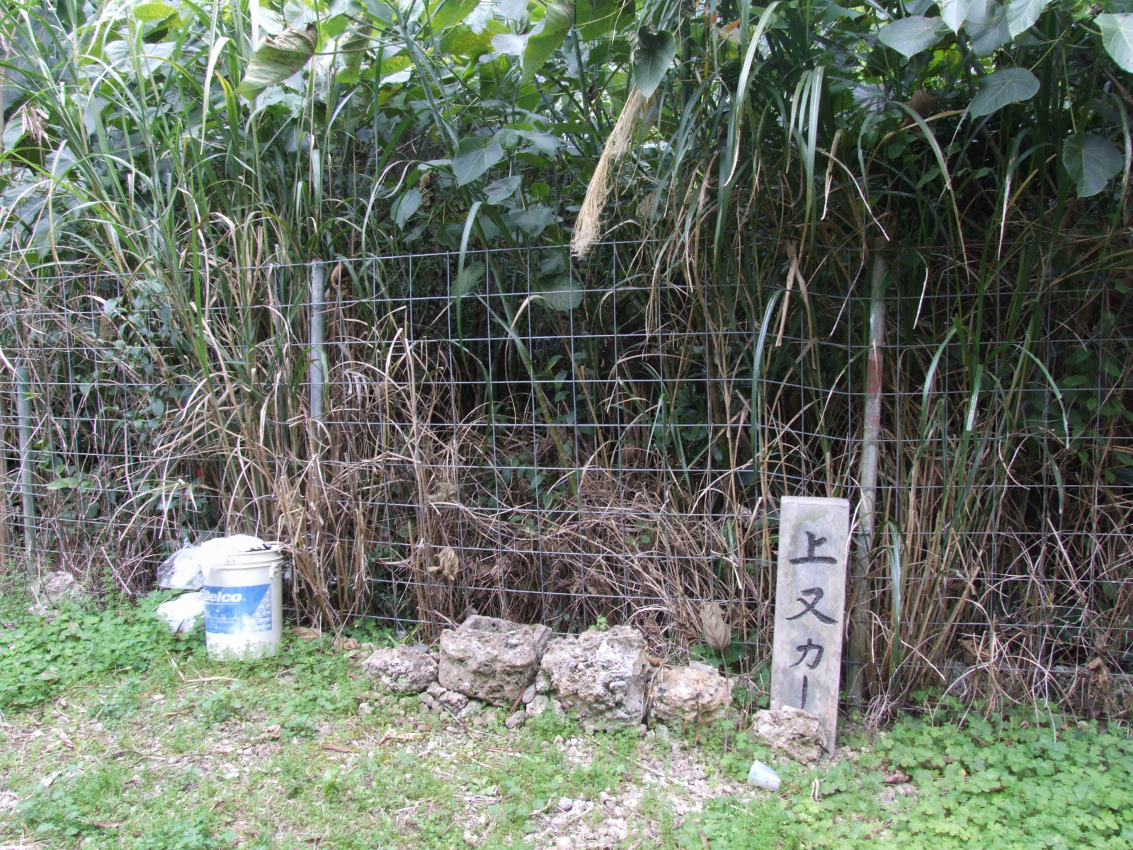 f:id:SQB:20220118170548j:plain