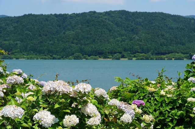 f:id:SRT_101:20230621012541j:image f:id:SRT_101:20230621012541j:image