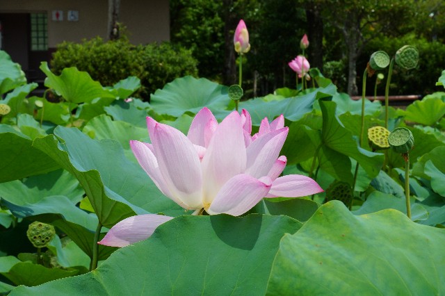 f:id:SRT_101:20230731052207j:image f:id:SRT_101:20230731052207j:image