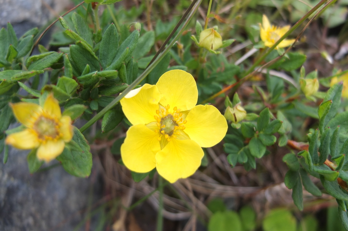 f:id:SSAWWAVES:20190827151449j:plain f:id:SSAWWAVES:20190827151449j:plain