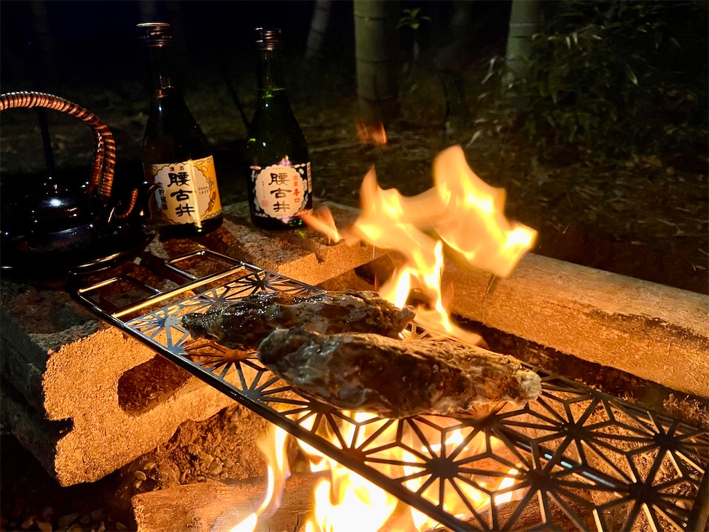 f:id:SSDD_NoB:20241203004859j:image