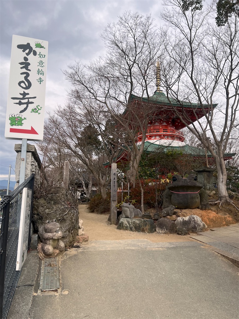 f:id:SSDD_NoB:20250121005525j:image