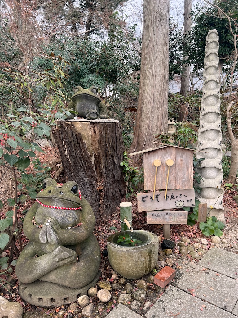 f:id:SSDD_NoB:20250121005612j:image